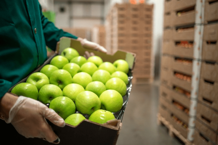 The Ultimate Guide to Software for Food Distributors